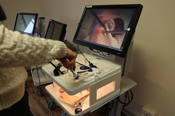 Entraînement à la coelioscopie