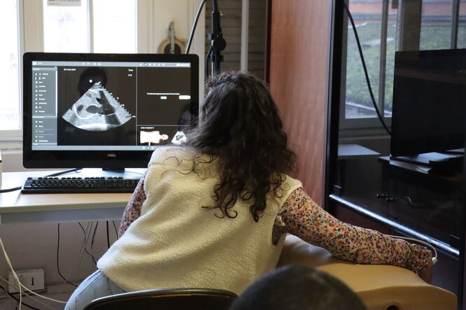 <strong>Échographie simulée</strong> <br> <em>Sur le simulateur d'échographie, les apprenants peuvent découvrir différents cas pathologiques.</em> Échographie simulée